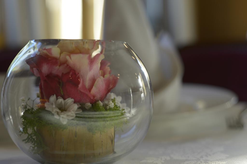 Niederschaeffolsheim Logis Hotel Restaurant Au Boeuf Rouge מראה חיצוני תמונה
